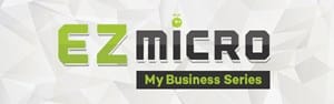 EZ Micro Solutions: My Business Series