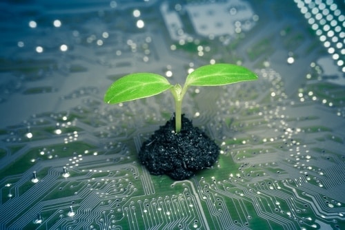 EZ Micro: Plant growing out of microchip